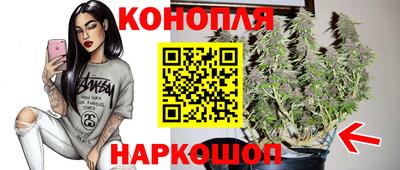 гашик Старая Купавна