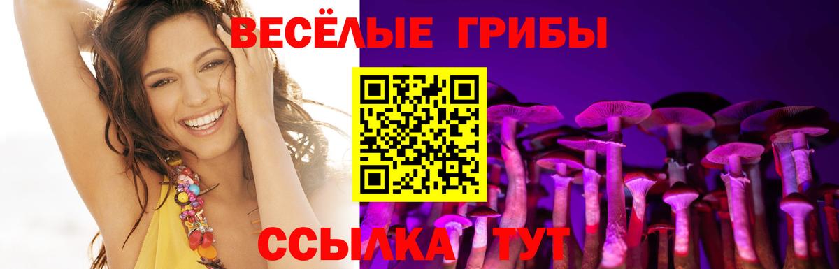 Псилоцибиновые грибы мухоморы  Вход с VPN  Вятские Поляны 
